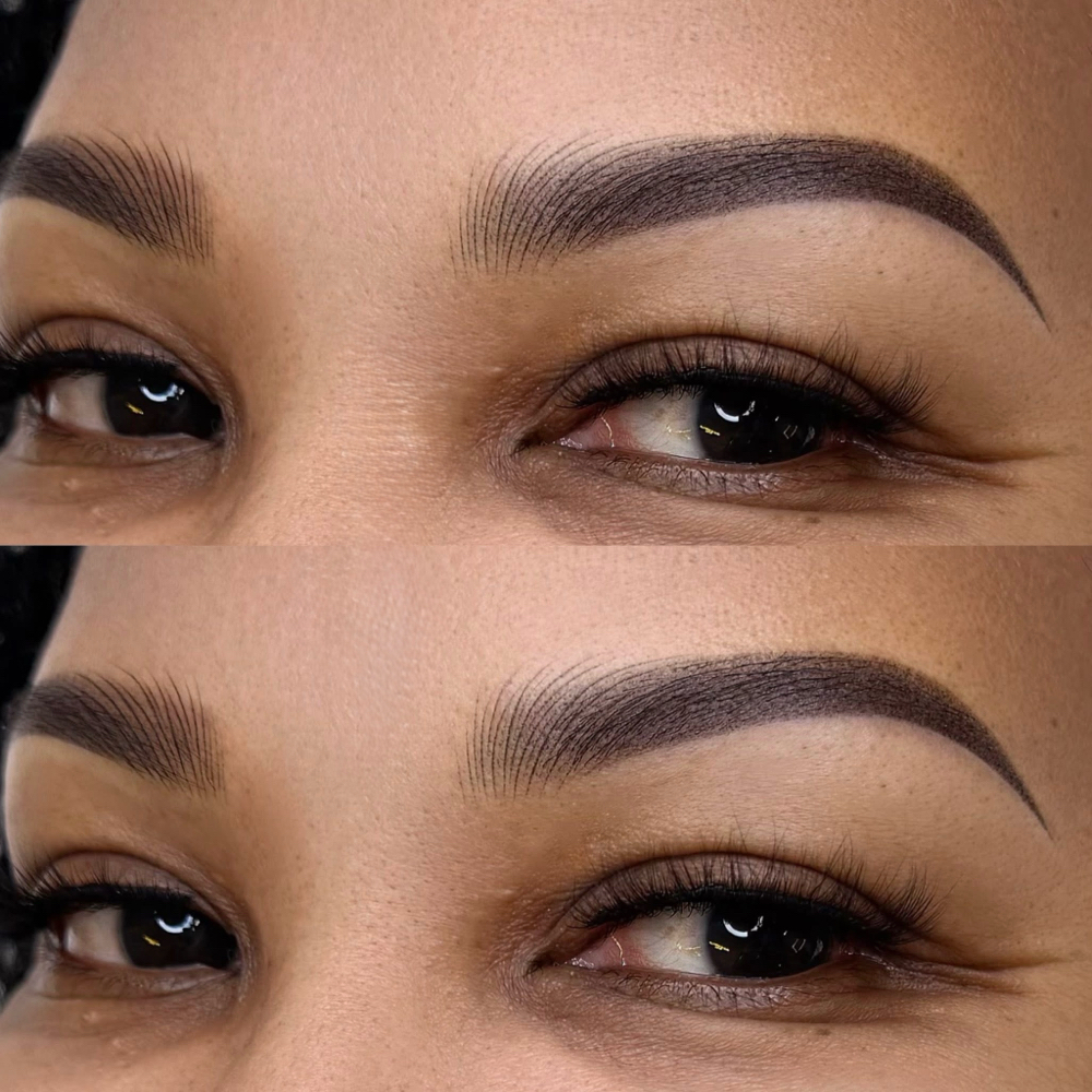 Nano Hybrid Brows at Brows by Alina in Machesney Park, IL