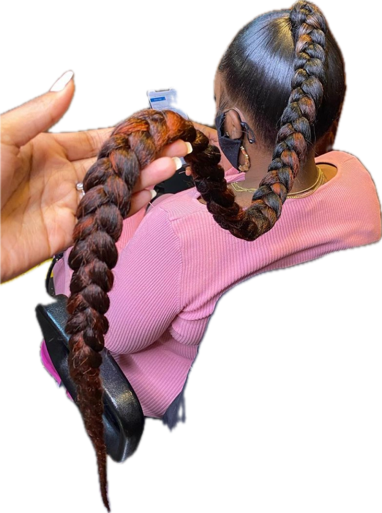 Braided Ponytail