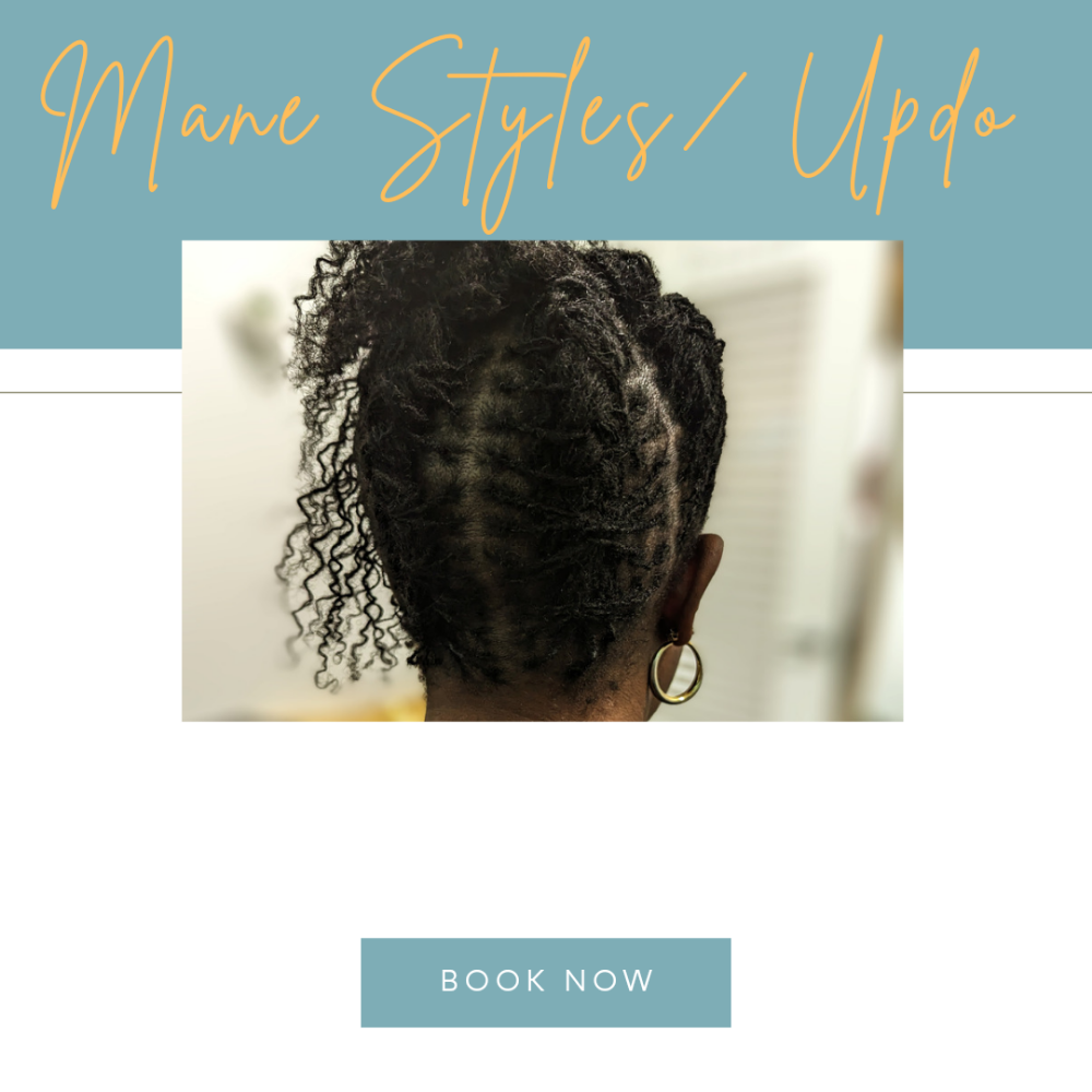 Mane Styles/ Updo