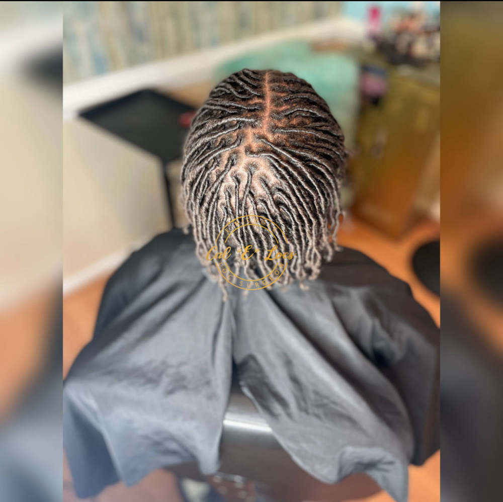 Starter Locs Undercut