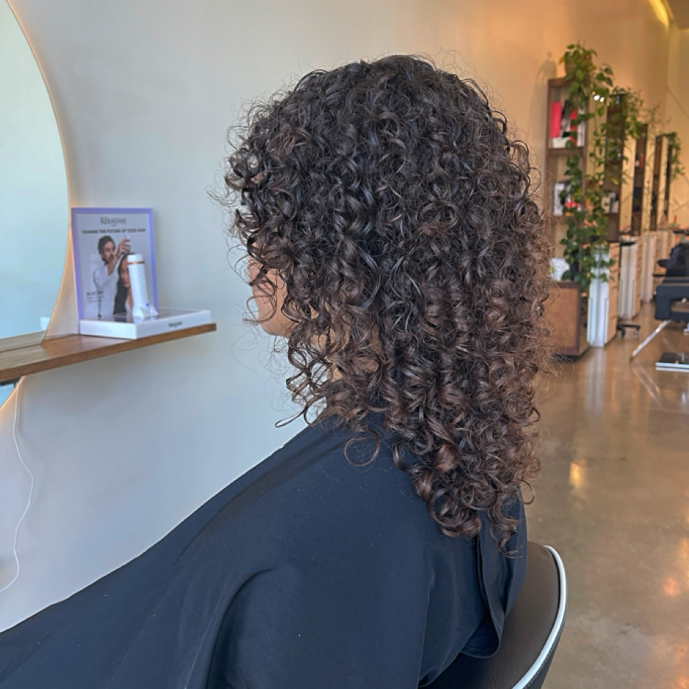 Curly Sculpt at Terra Tier studio in Frisco, TX