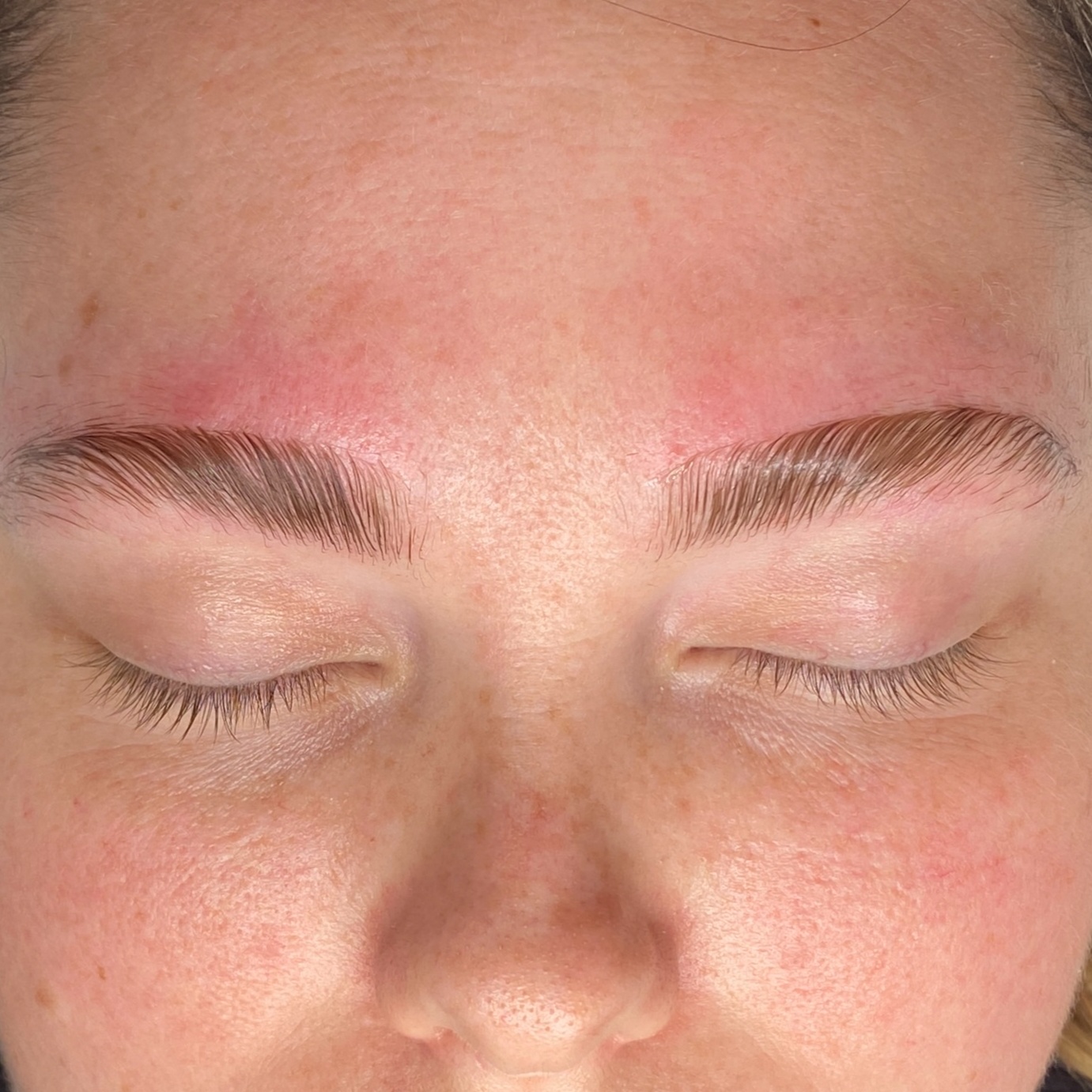 Korean Brow Lamination & Tint at The Rose View Studio in Melbourne, FL