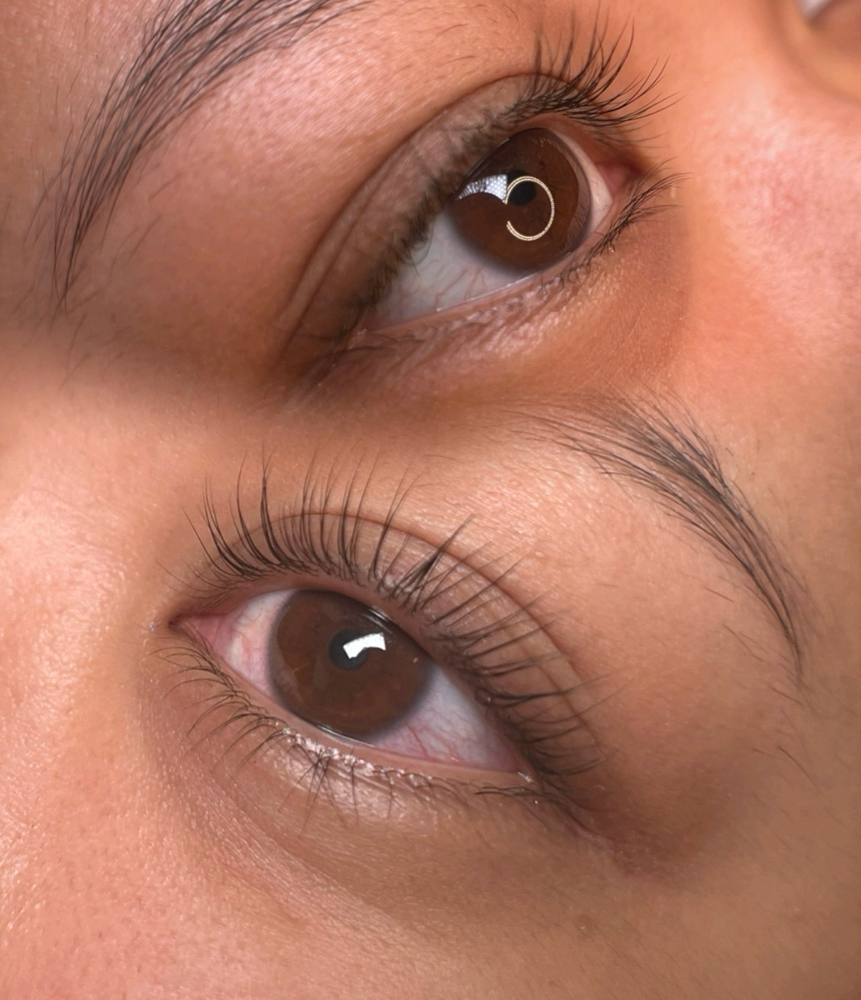 Lash Lift Top + Bottom