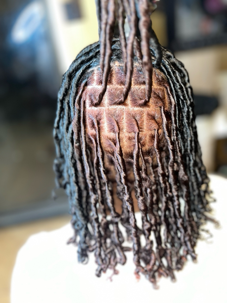 Starter Locs