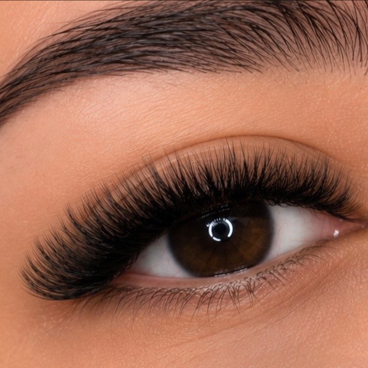 Strip Lash Look at BSE NORTH in Leander, TX