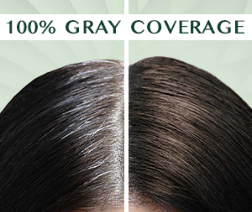 Gray Coverage Root Touch Up