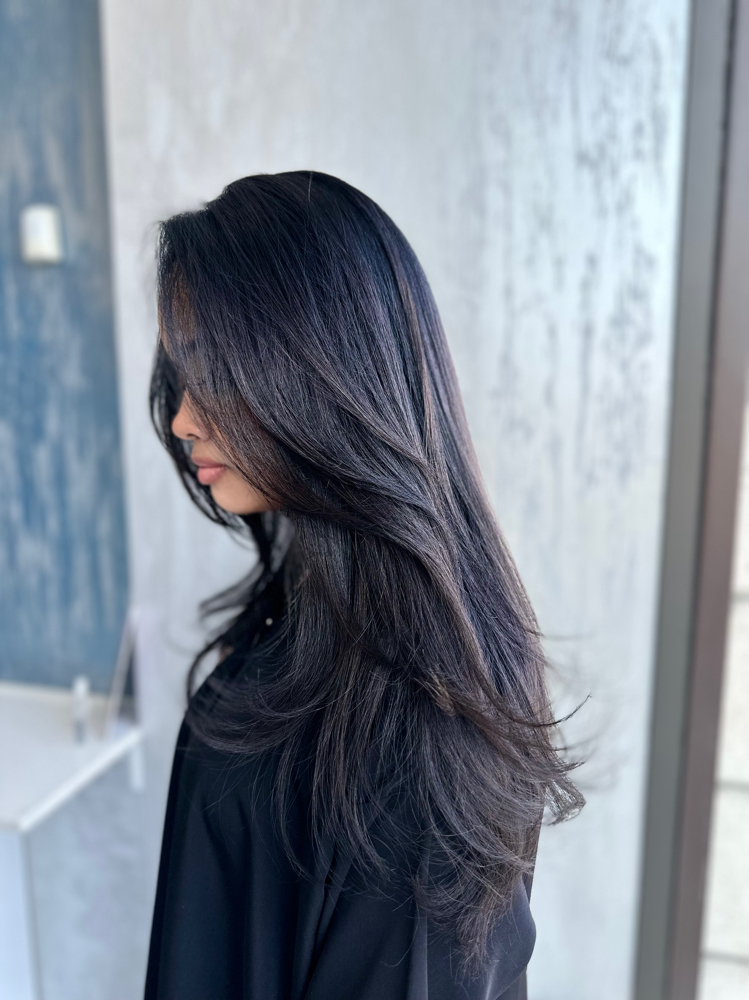 Root Touch Up w/ Haircut