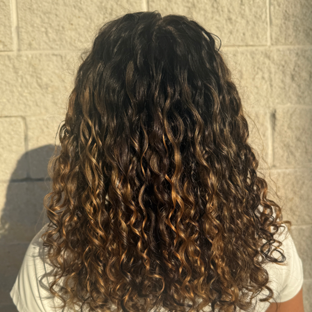 Toner Refresh at The Kurl Studio by Kayla in Seffner, FL