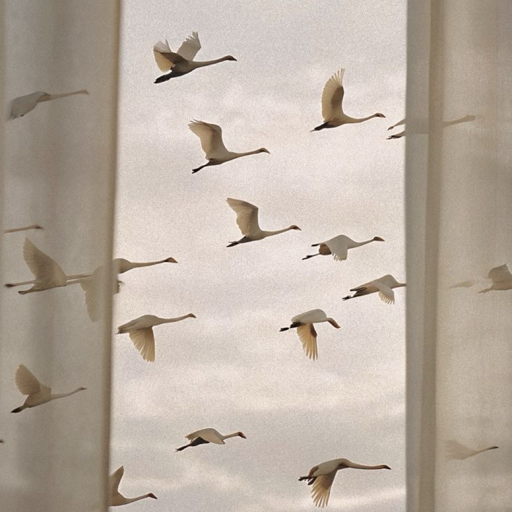 The Ease at Lindsey Bay Hair in Devine, TX