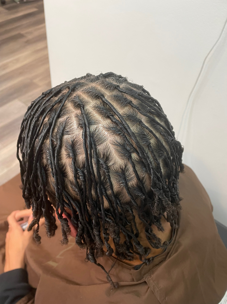 Starter Locs at Lateeka’s Natural HairCare in Nashville, TN