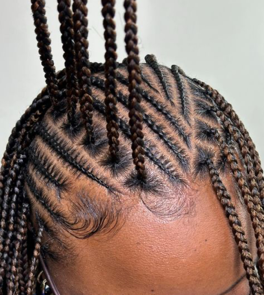 M | Fulani Braids at BOOKwSNOOK in Roanoke, VA