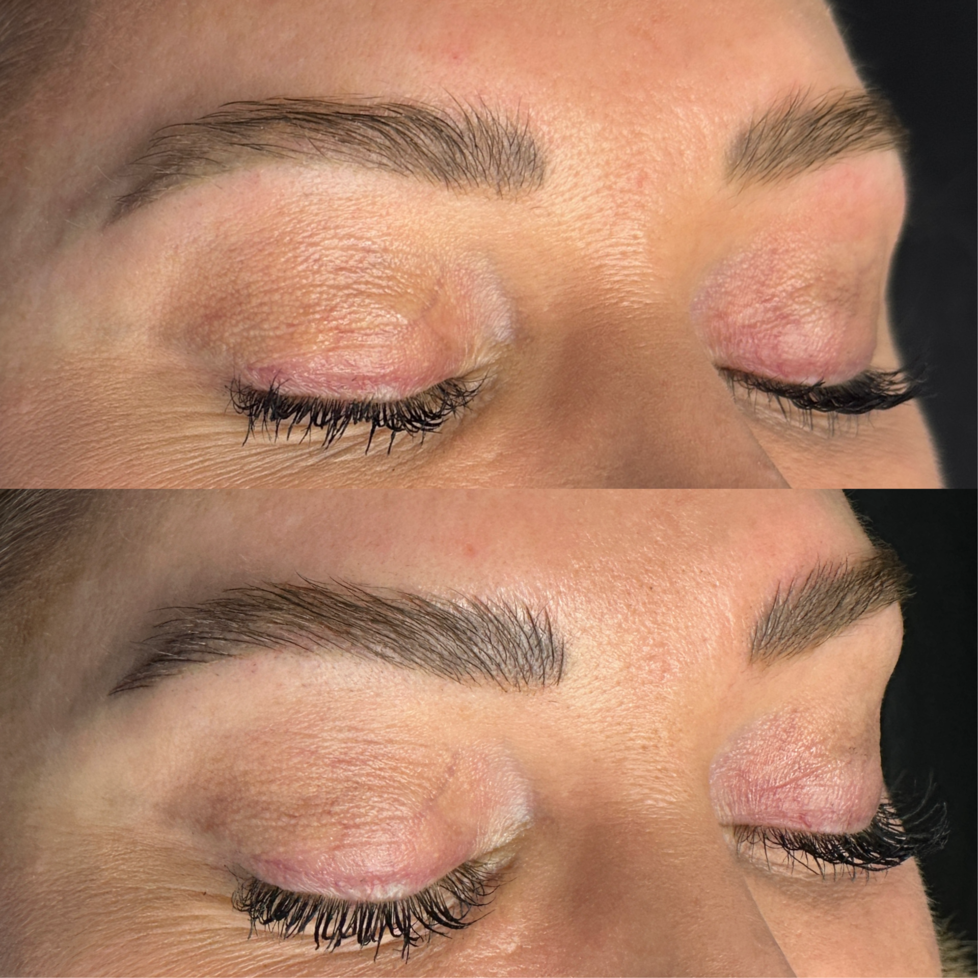 Microblading Annual Touch Up