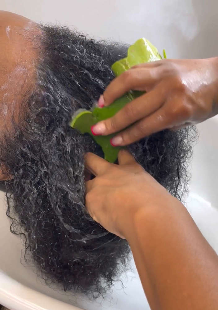 Hair & Scalp Wellness Wash