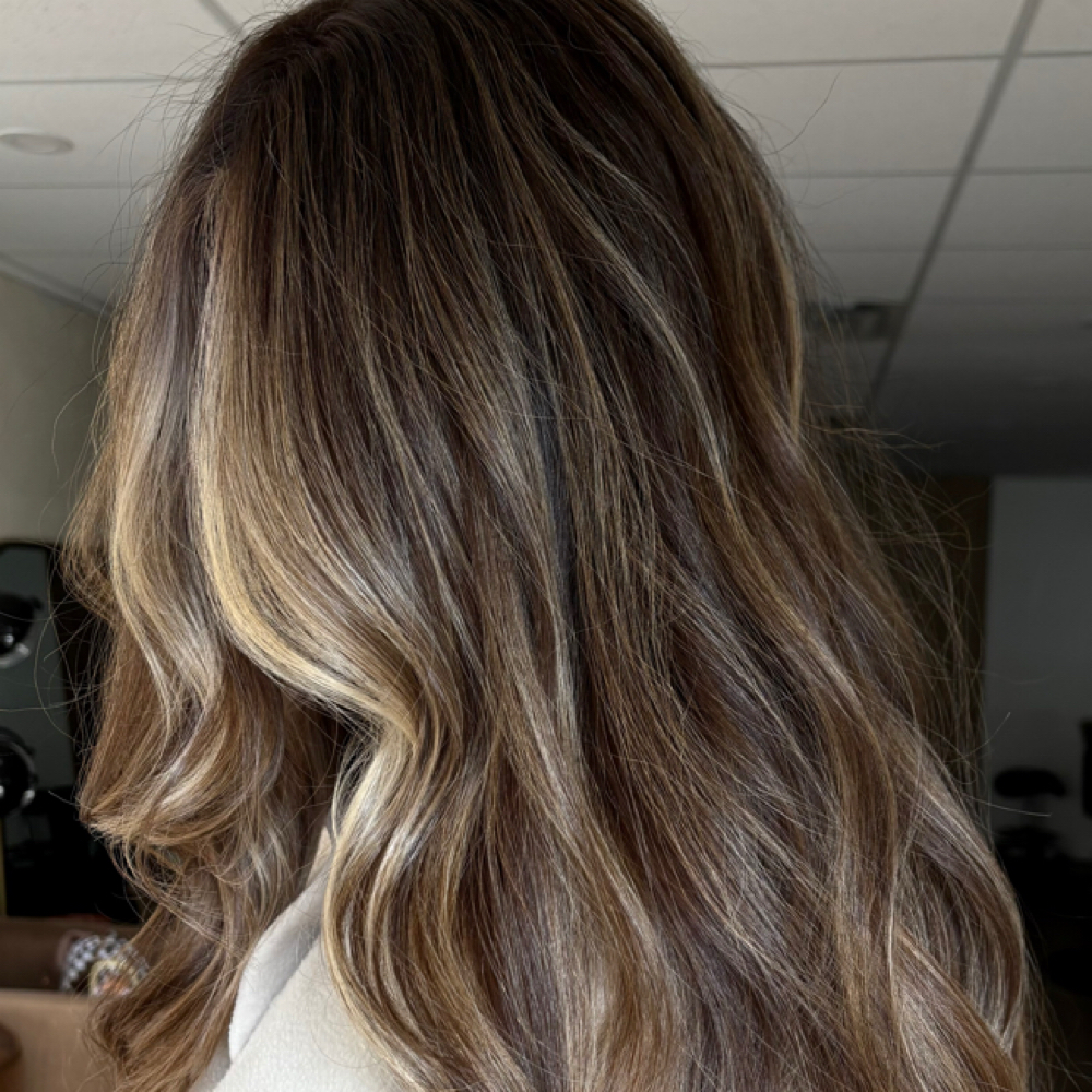 Full Lowlight at Dakota Beach Gölden Salon & Co. in Plymouth, MI