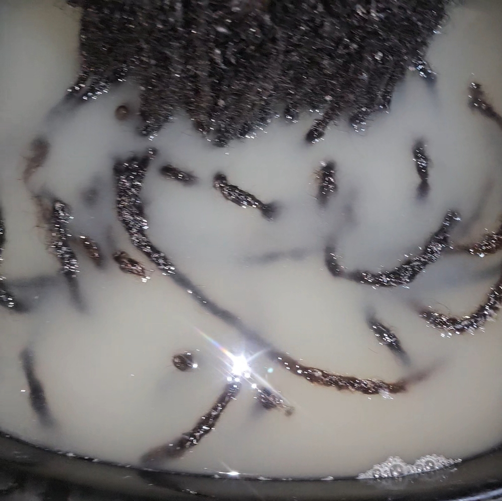 Loc detox & retwist.