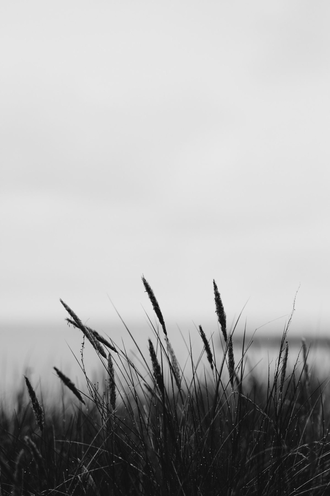 Charms at Salon Idyll in Rochelle, IL