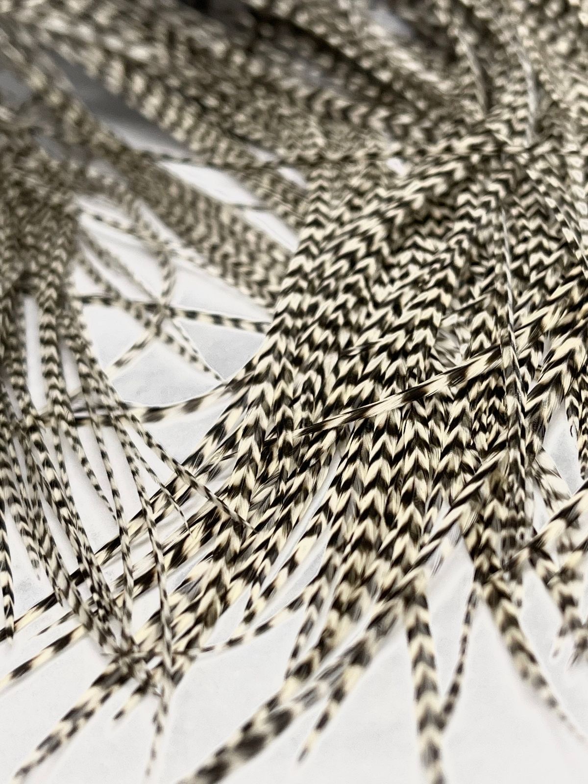 feathers