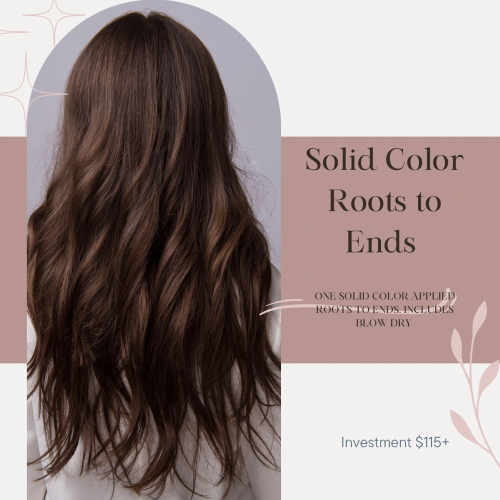 Solid Color-Roots to End