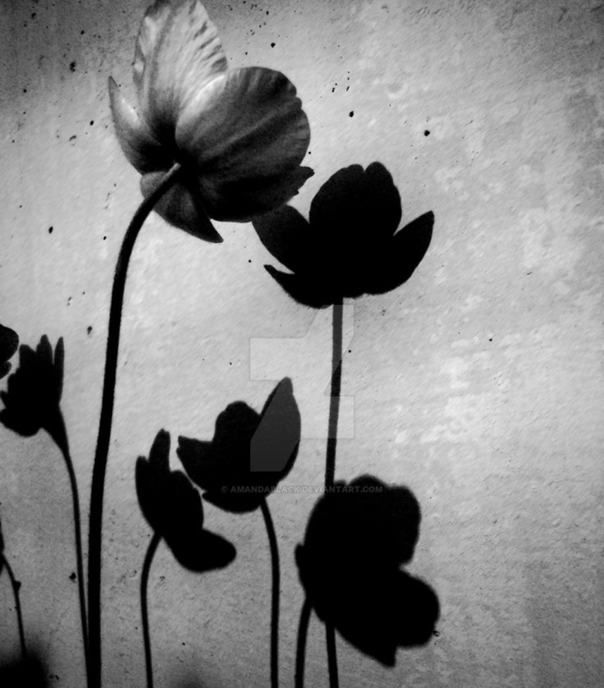 Butterfly Weft Extension Package