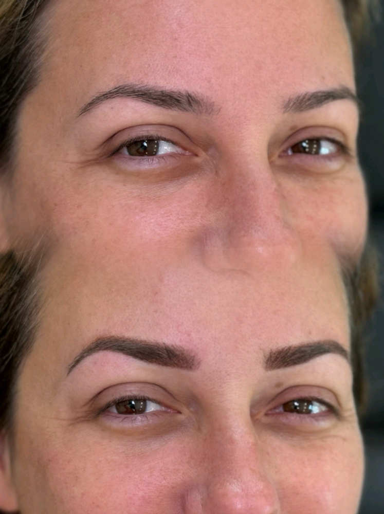 Powder Brows *1st Appt.