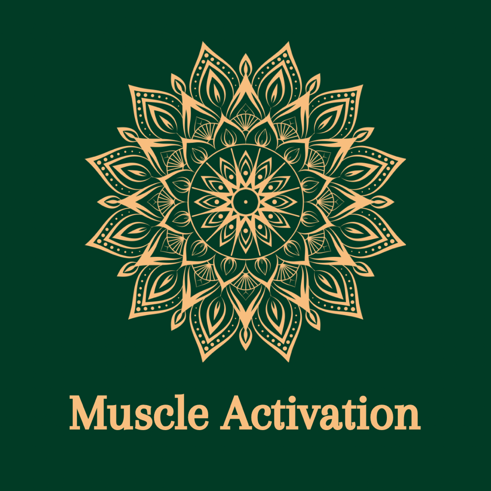 Muscle Activation