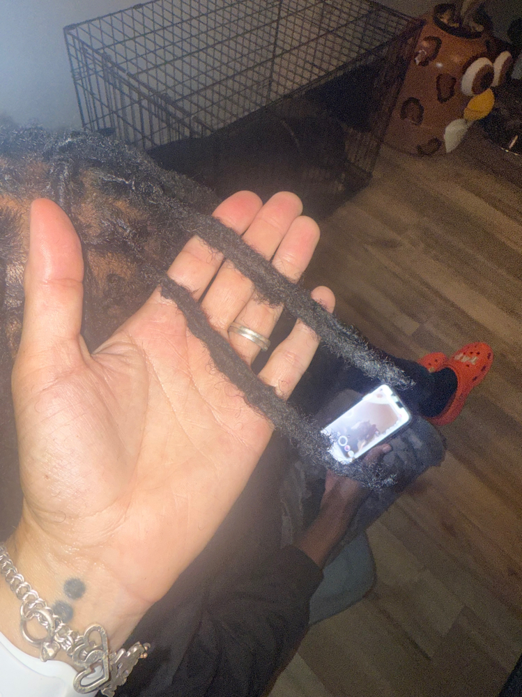 Starter Locs With Extensions