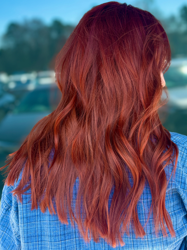 All Over Color + Haircut