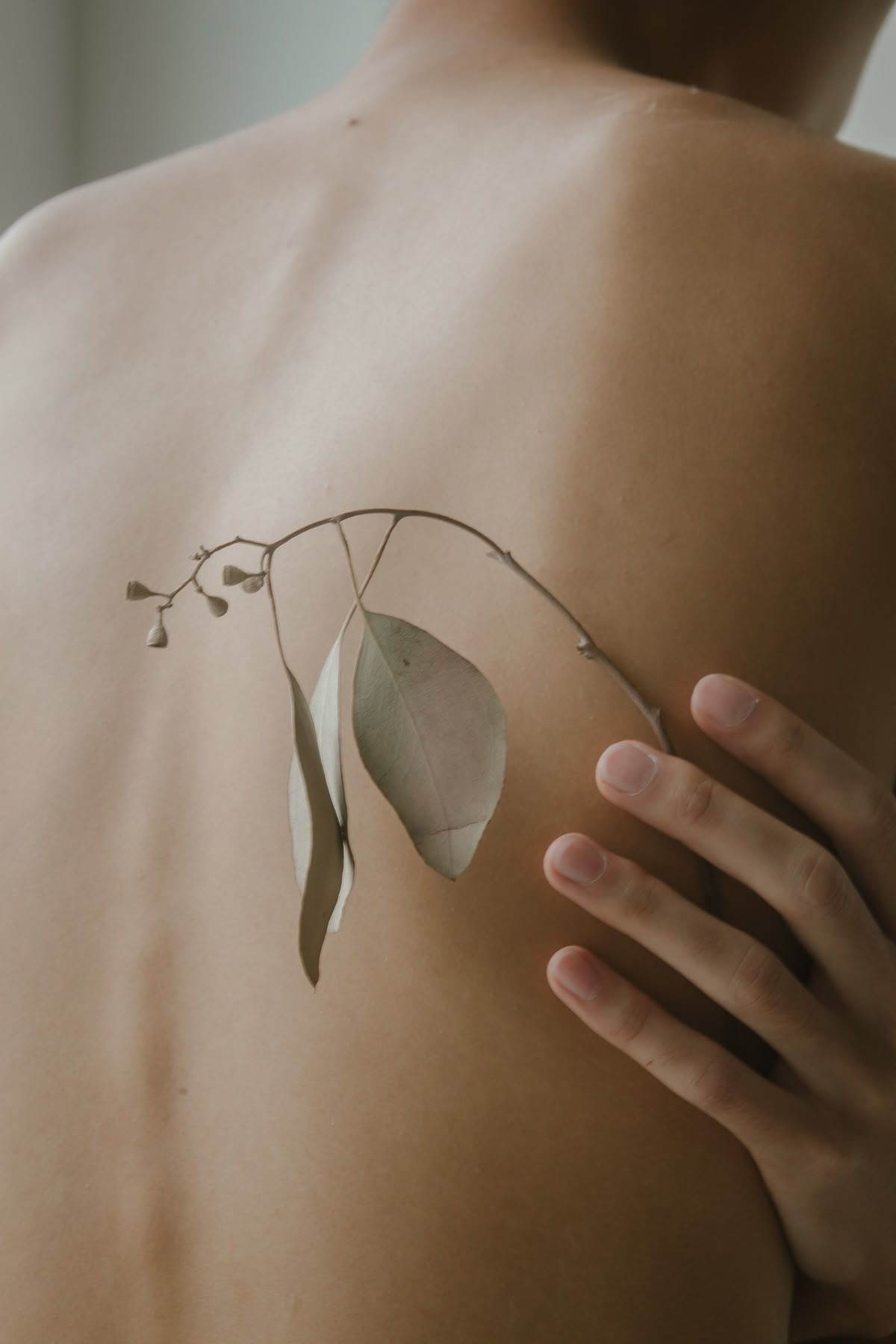 𝙱𝚊𝚌𝚔 𝙵𝚊𝚌𝚒𝚊𝚕 at Aura Aesthetics LLC in Springdale, AR
