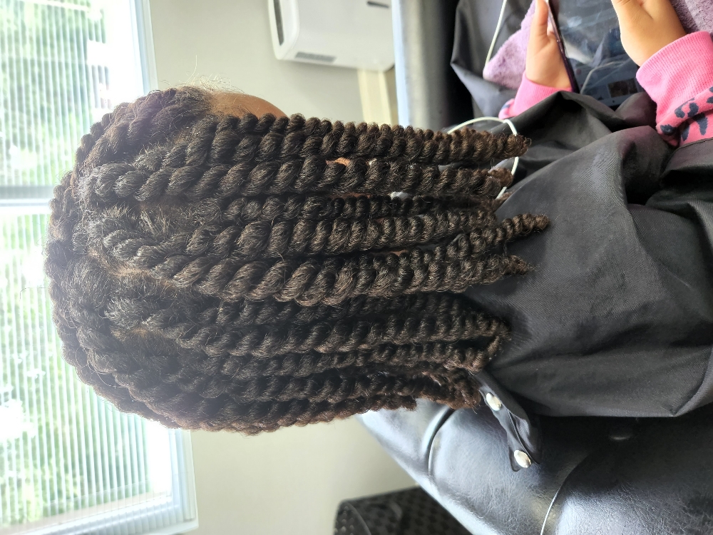 2 Strand Twist Large at Megan The Stylist in Germantown Hills, IL