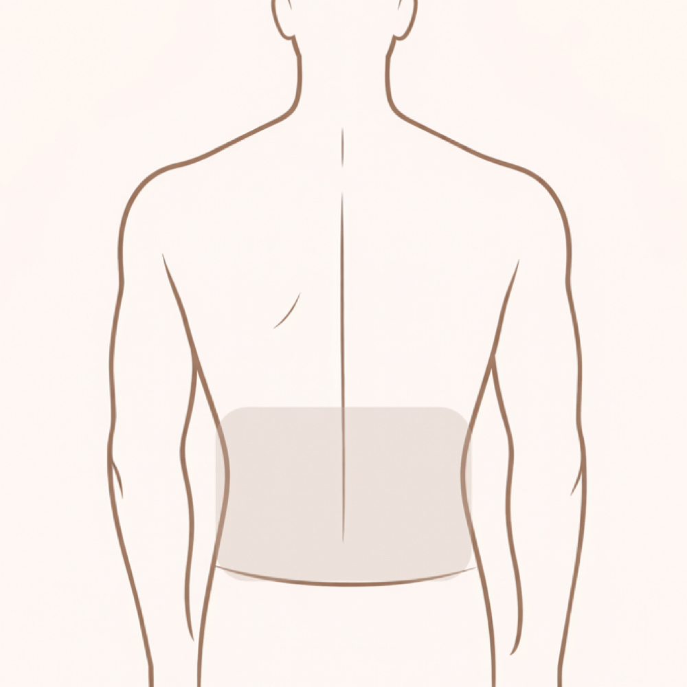 Lower Back at Bare Society | Wax Lounge in Milton, WA