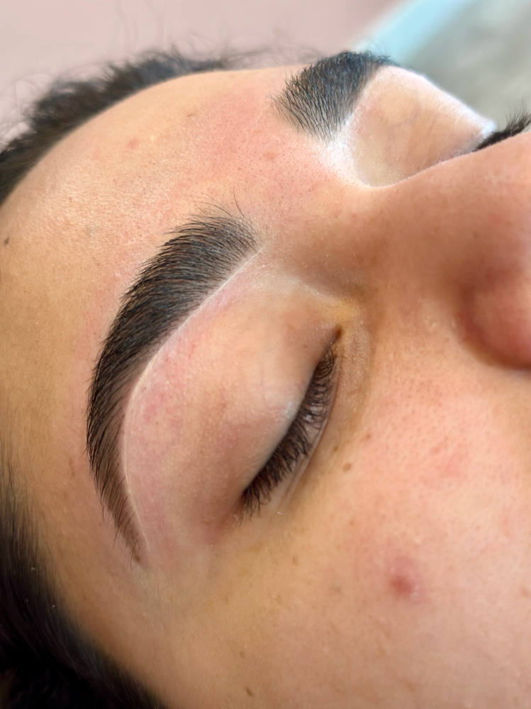 Brow Tint Only