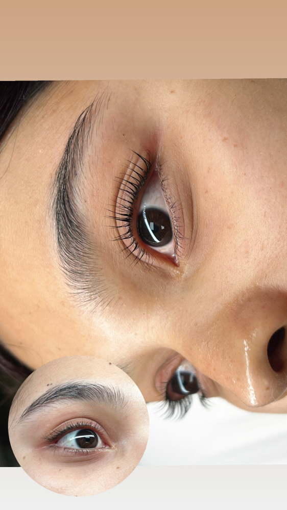 Korean Lash Lift