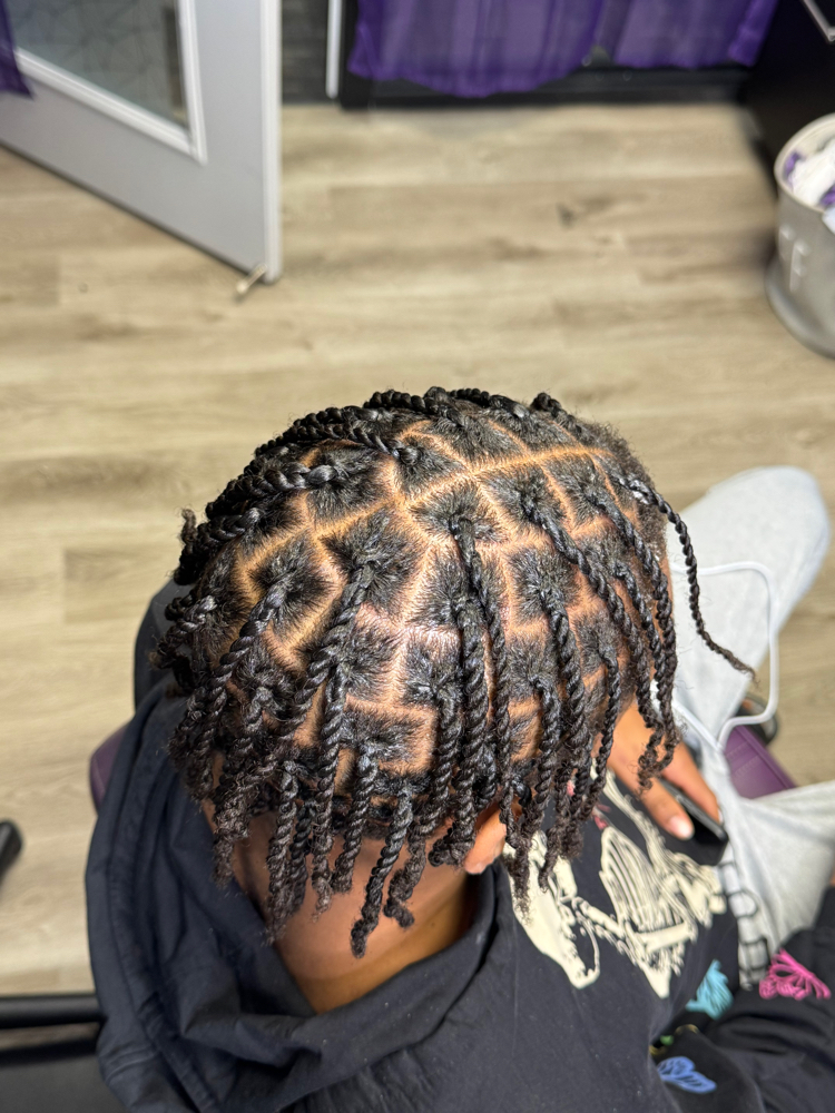 Mens 2 Strand Twists