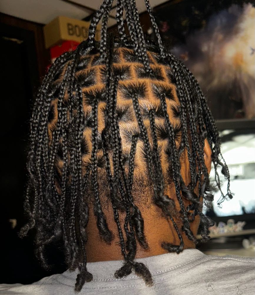 3 Strands (Plaits) at Eryka’s Hair Couture in Midlothian, IL