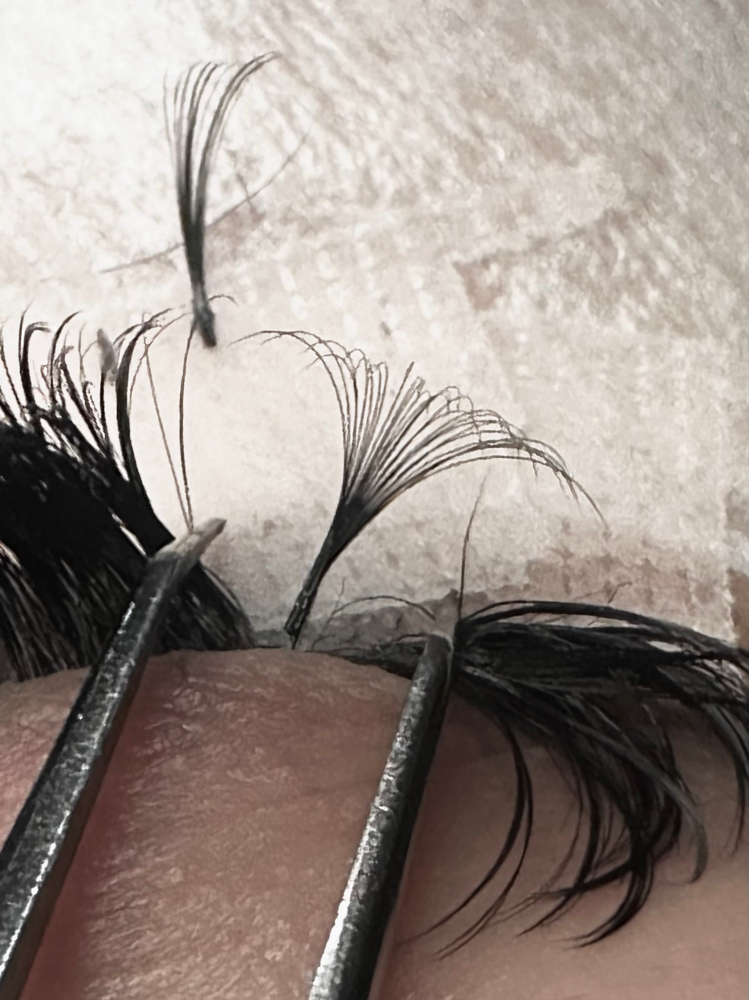 Lash Fill