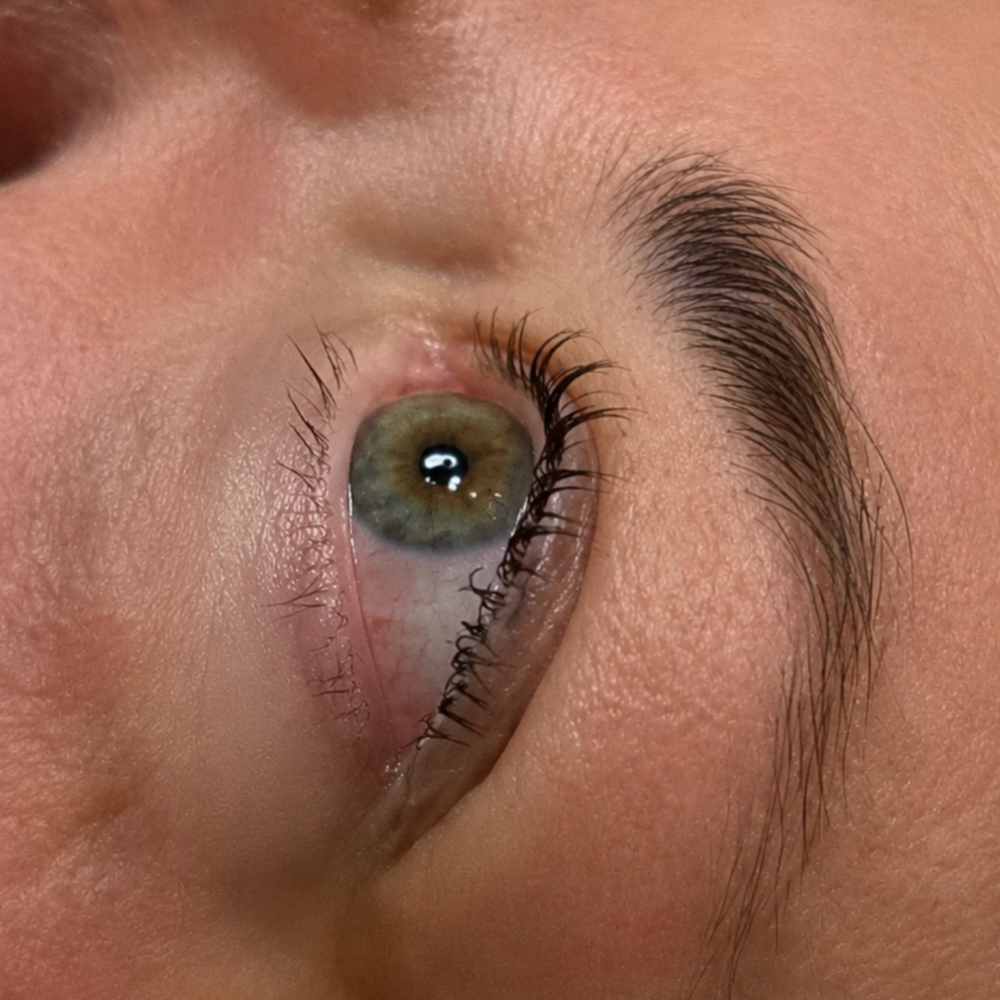 LASH LIFT SPECIAL at Vida Lux Salon And Suites in Weatherford, TX