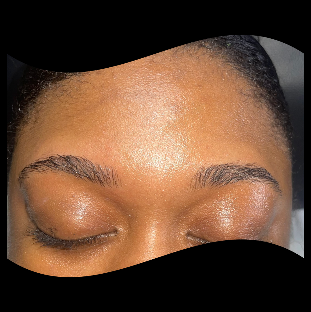 Eyebrow Wax at IconicTouch by Lex in Southfield, MI