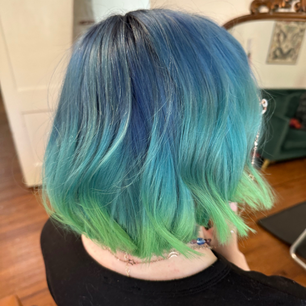 5 Hour Color Service at Jordan the Hair Fairy in Tallahassee, FL