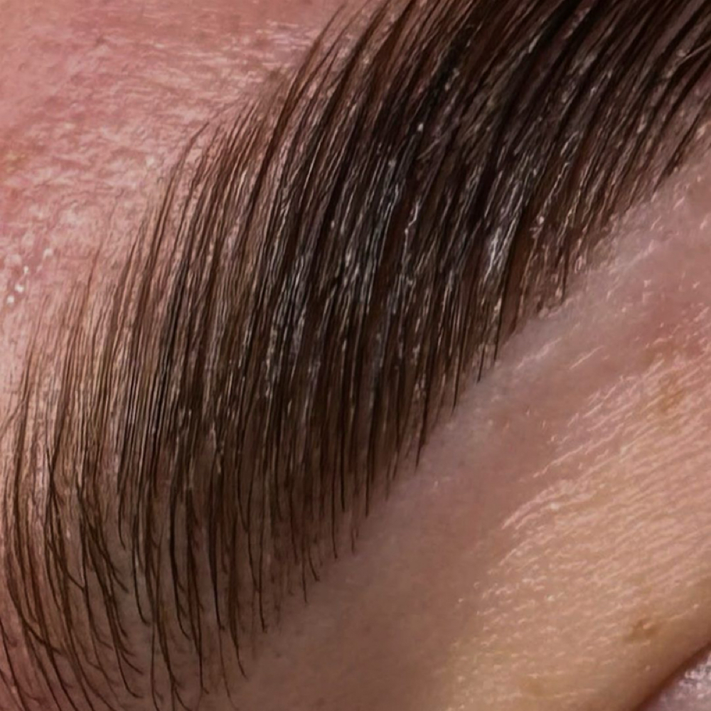 Soft Halo Brow Tint at Angelkind Aesthetics