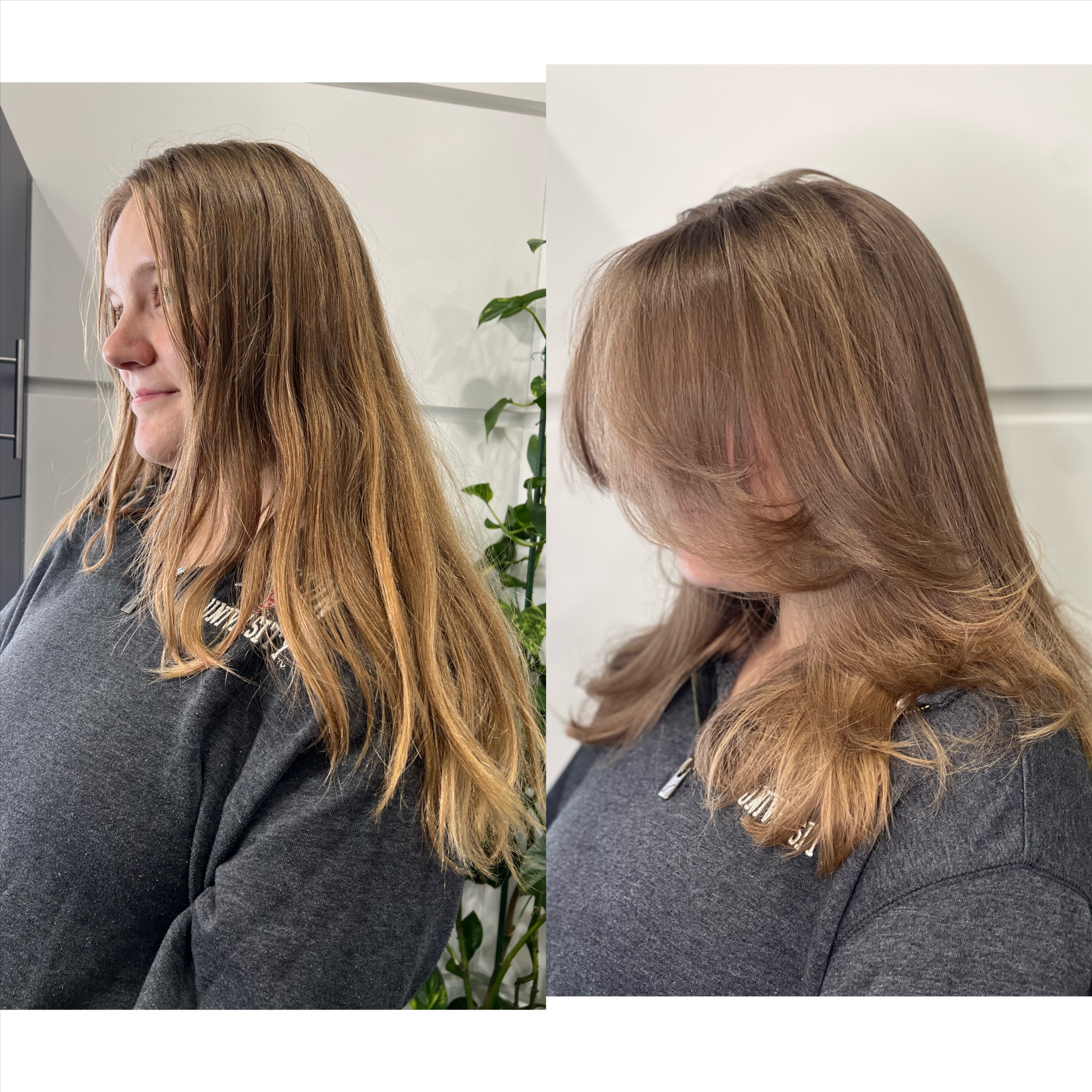Blowout + Haircut at TressesByTreseme in braintree, MA