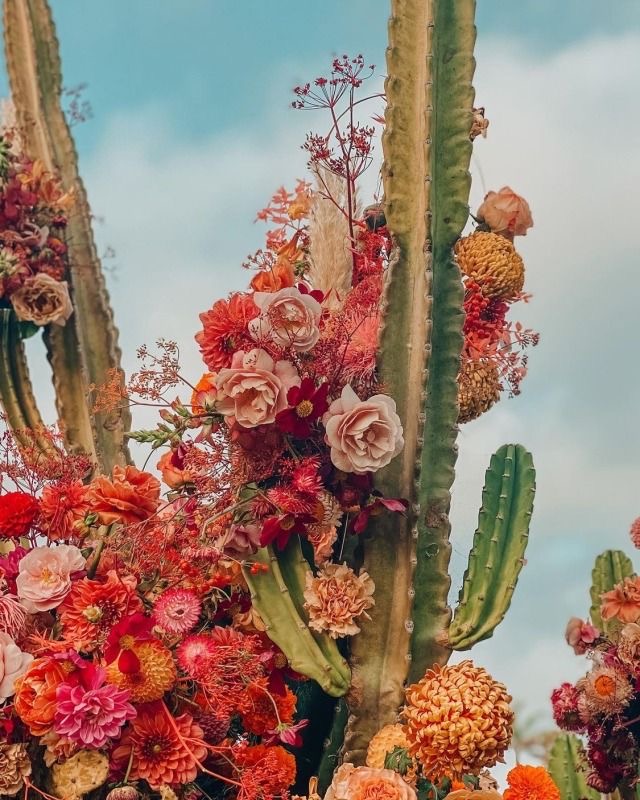 Extention Removal at Citrine Studio LLC in Ann Arbor, MI