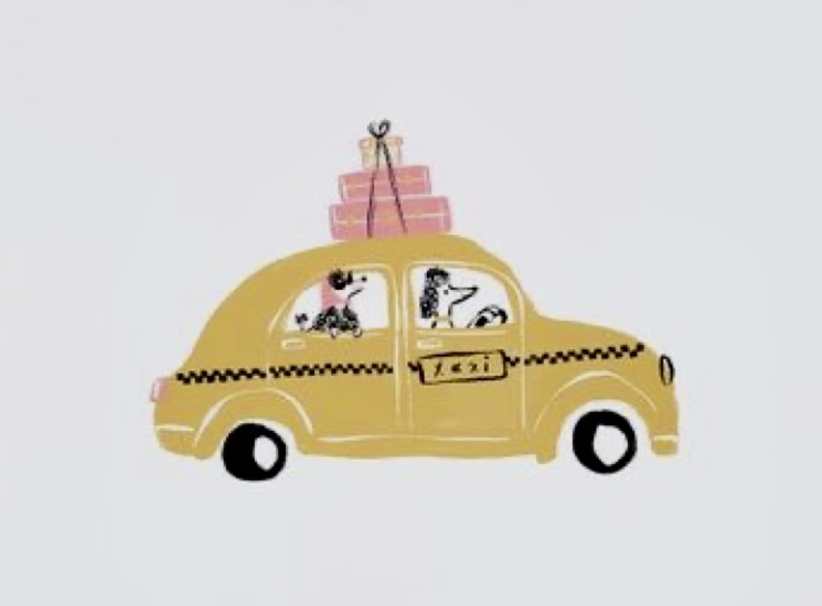 🚕Pick Up/Drop Off