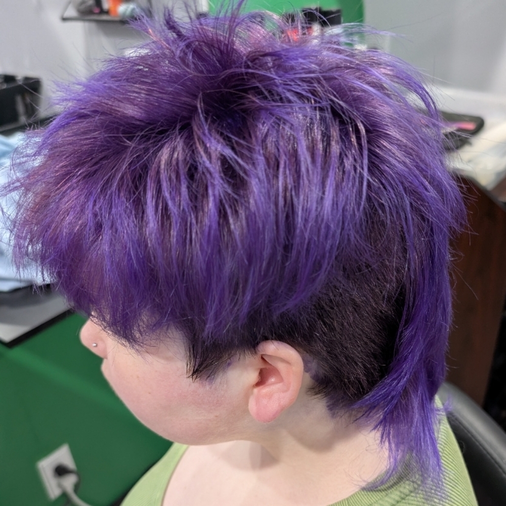 All Over Vivid/Fashion Color at Heretic Hair by Charlea in Colorado Springs, CO