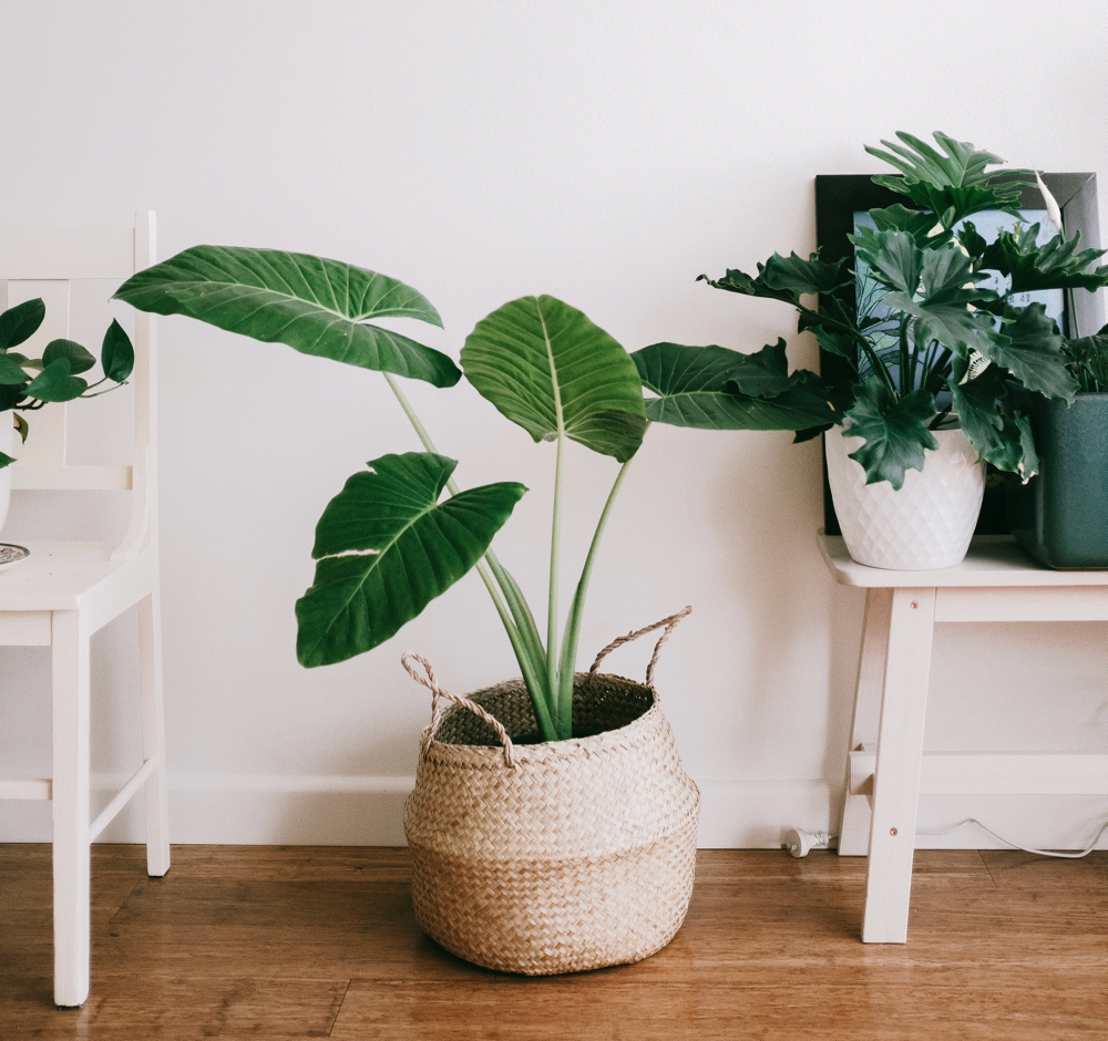 Therapeutic Massage at Prickly Pear Massage in Moore, OK