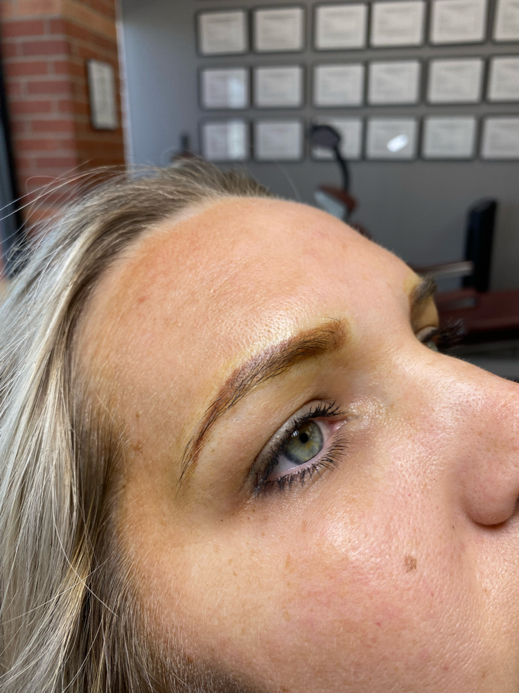 Powder Brows-Yearly Color Boost