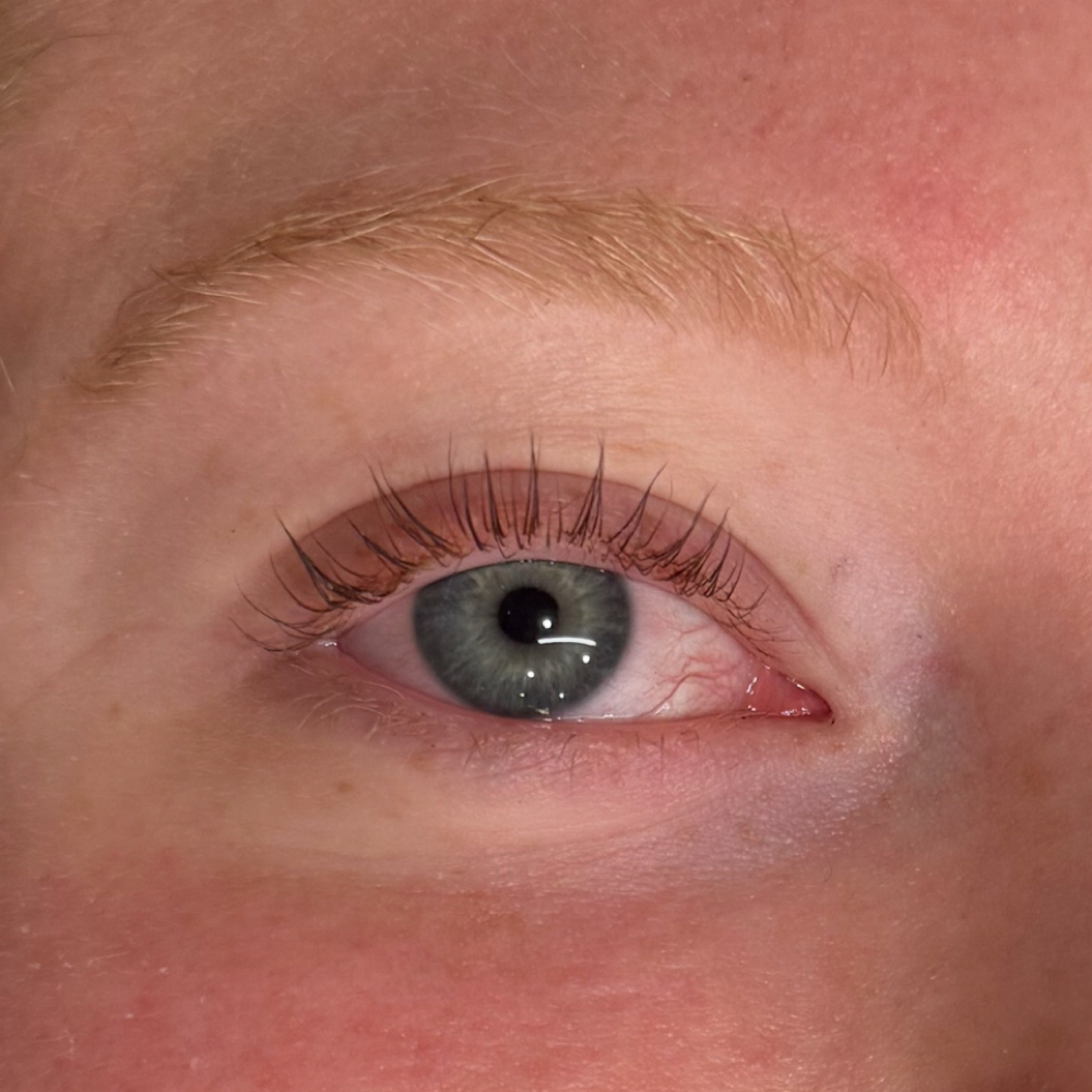 Korean Lash Lift & Tint