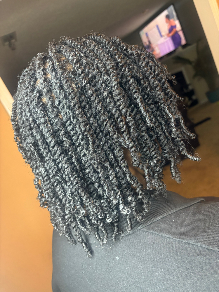 Mini Twist Natural Hair