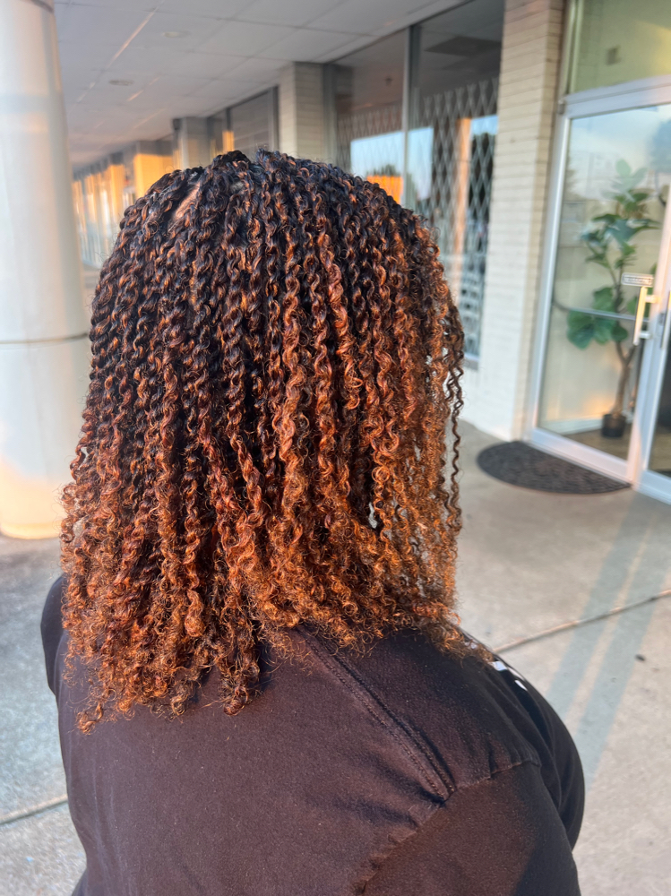 Mini Twist - Hair Added