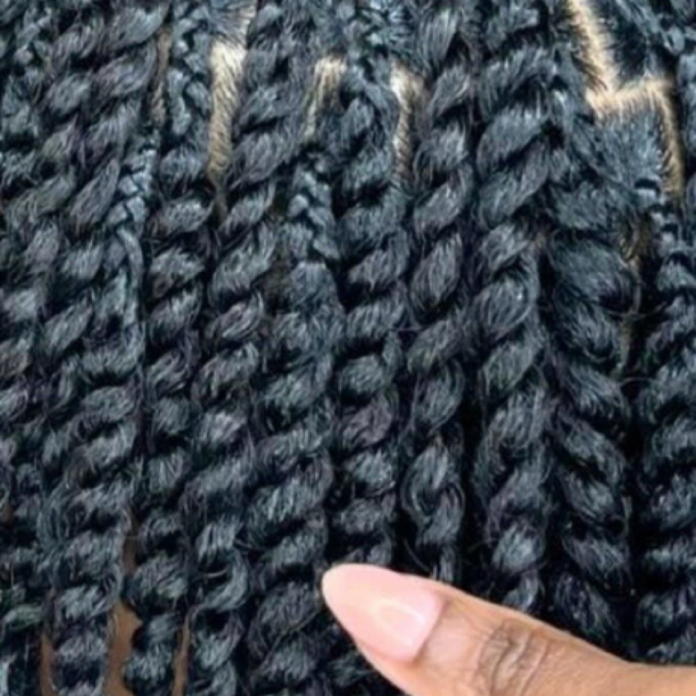 Two Strand Twist Natural Hair
