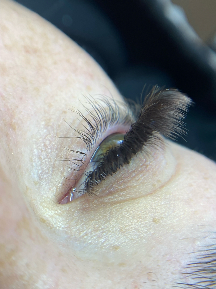 Bottom Lashes